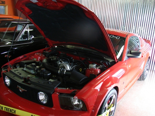 2006 FORD MUSTANG ROUSCH RACING STAGE 3